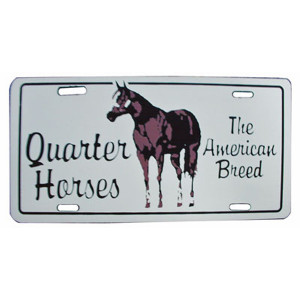 Stalbord Quarter Horse